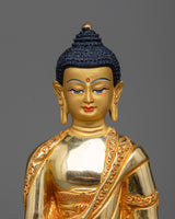 buddha shakyamuni the historical buddha 