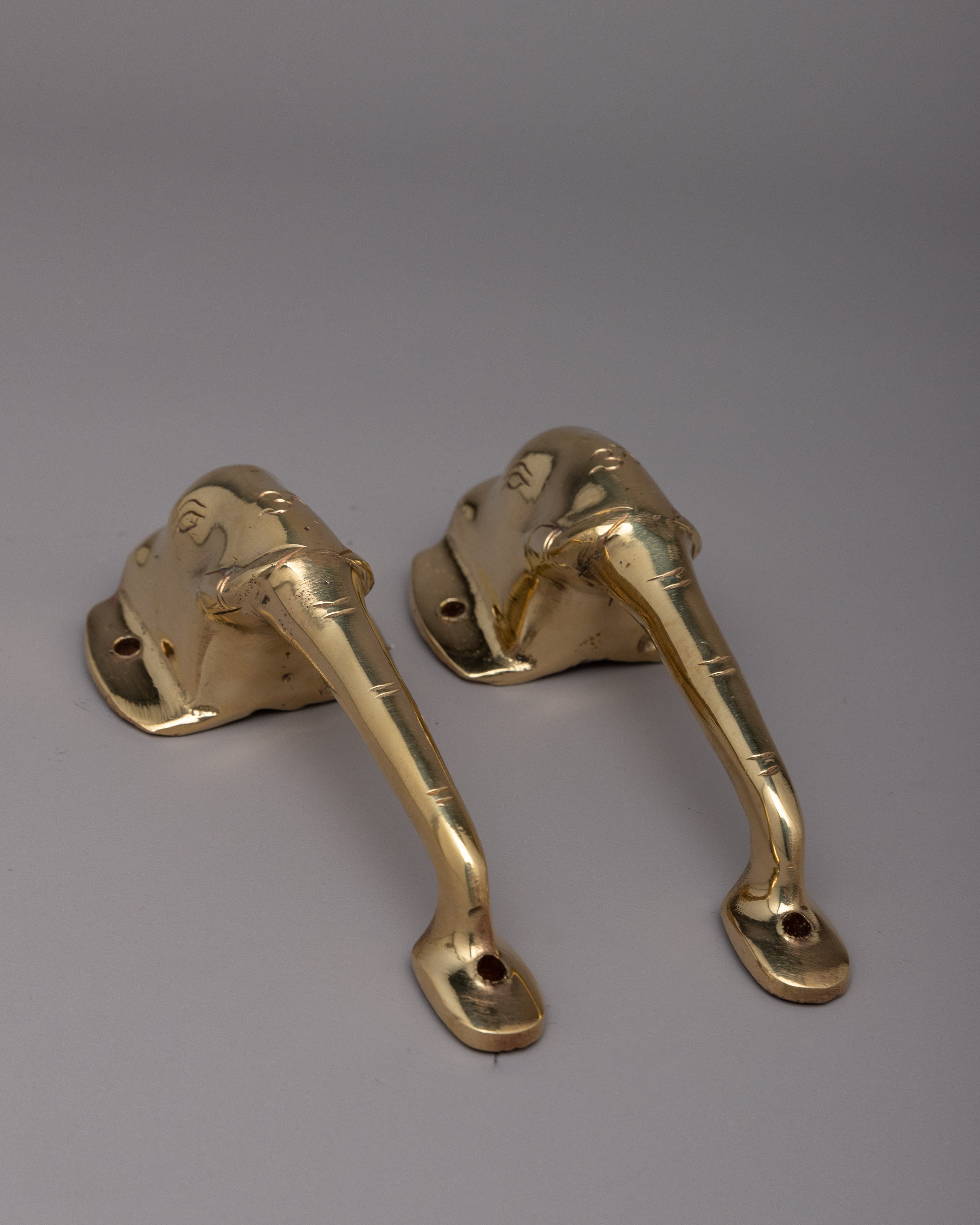 Elephant Door Handles Exterior