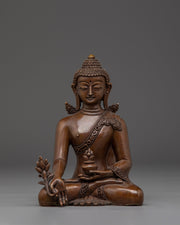 spiritual-healer-medicine-buddha