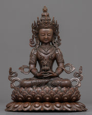 lord of boundless light buddhist statue 