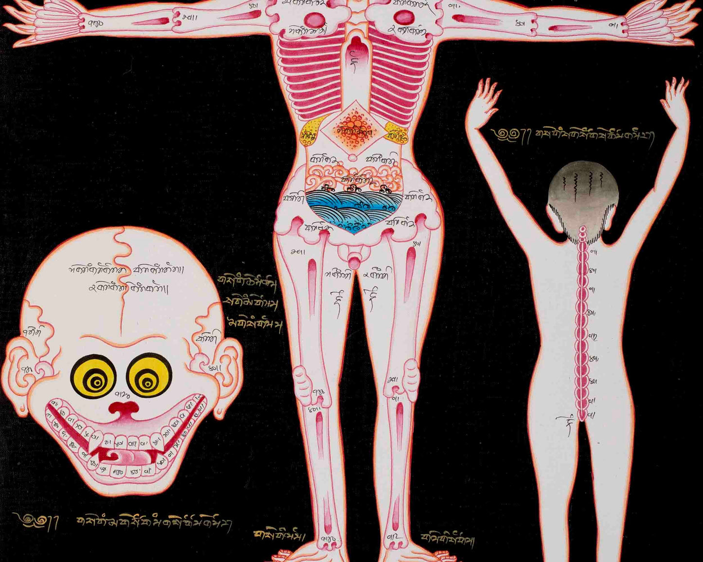 Human Skeleton Thangka Arts | Himalayan Ancient Medical Technique For Mind & Body