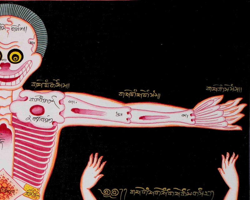 Human Skeleton Thangka Arts | Himalayan Ancient Medical Technique For Mind & Body