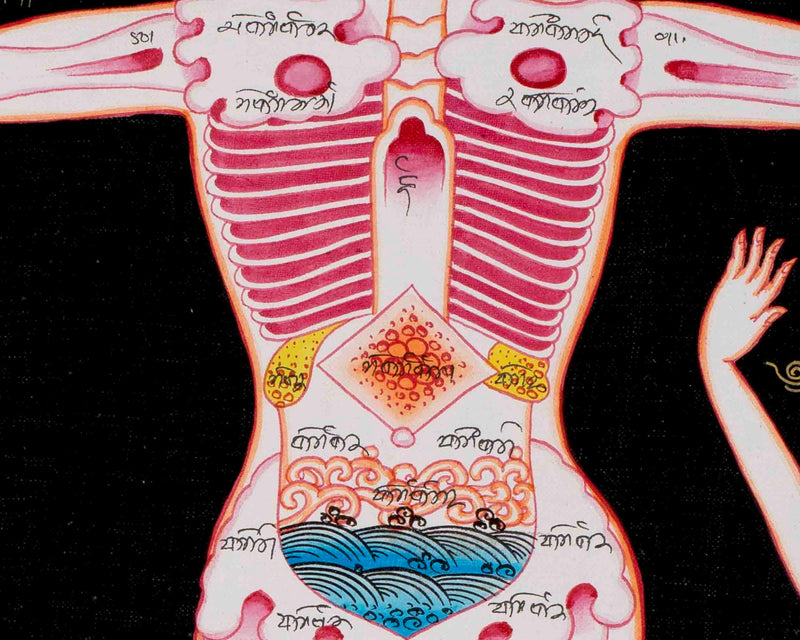 Human Skeleton Thangka Arts | Himalayan Ancient Medical Technique For Mind & Body