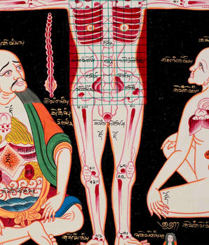 Human Anatomy Thangka | Anatomy Wall Arts | Wall Hanging For Biology | Thangka Painting | Antique Asian Arts | Tibetan Thangka Painting
