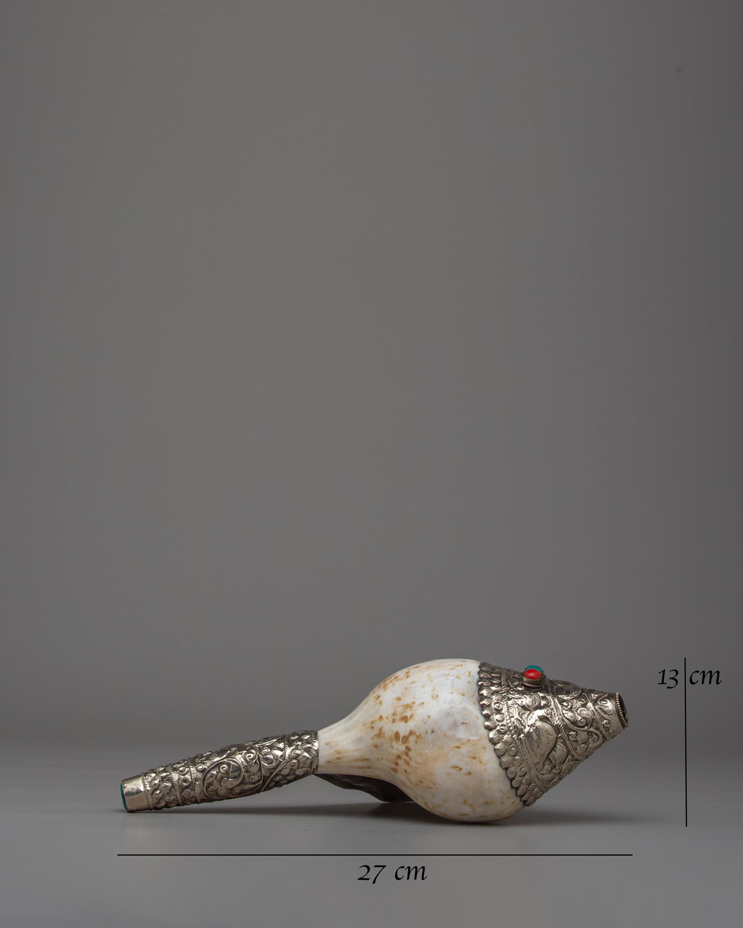 Ceremonial Conch Shell for Spiritual Practice | Dharma Shell