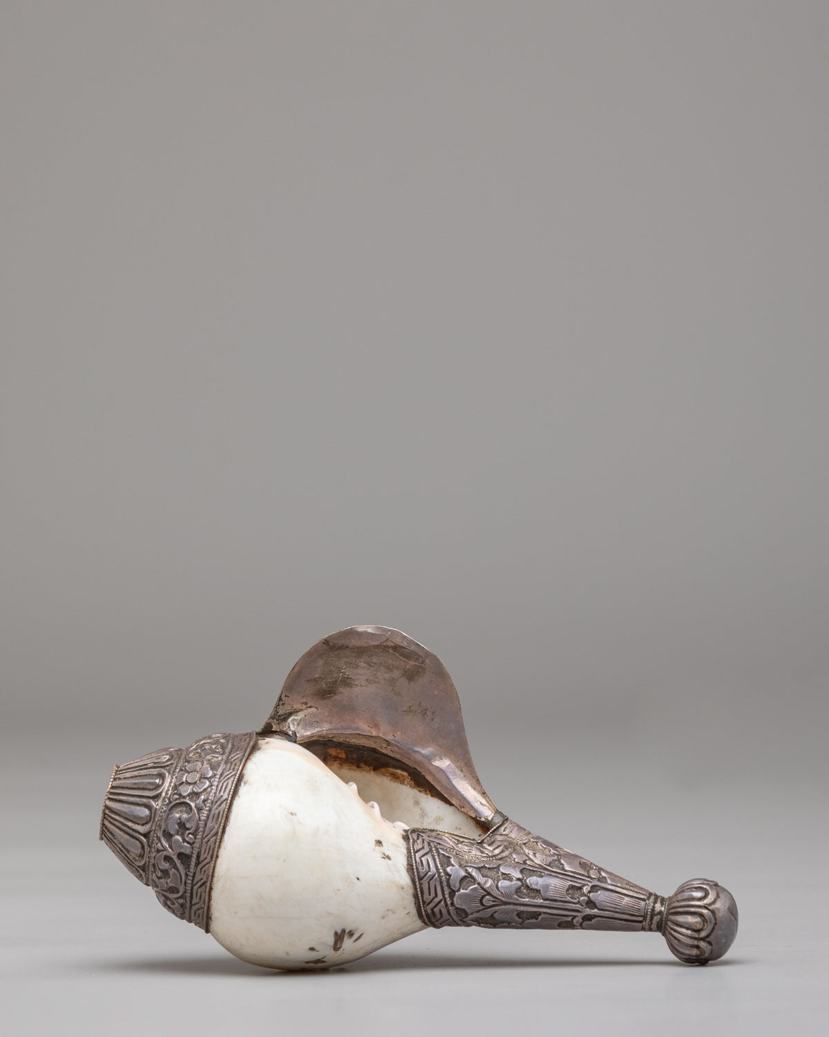 Sacred Conch Shell for Buddhist Altar | Spiritual Decor for Meditation