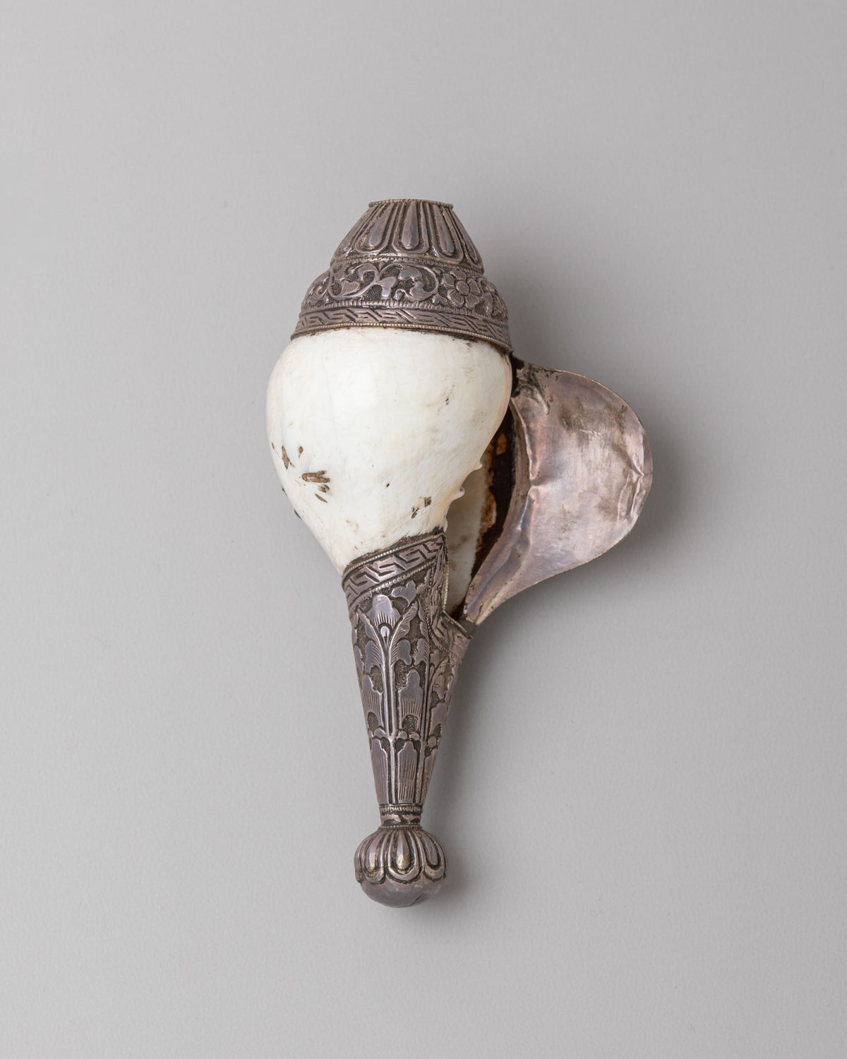 Sacred Conch Shell for Buddhist Altar | Spiritual Decor for Meditation