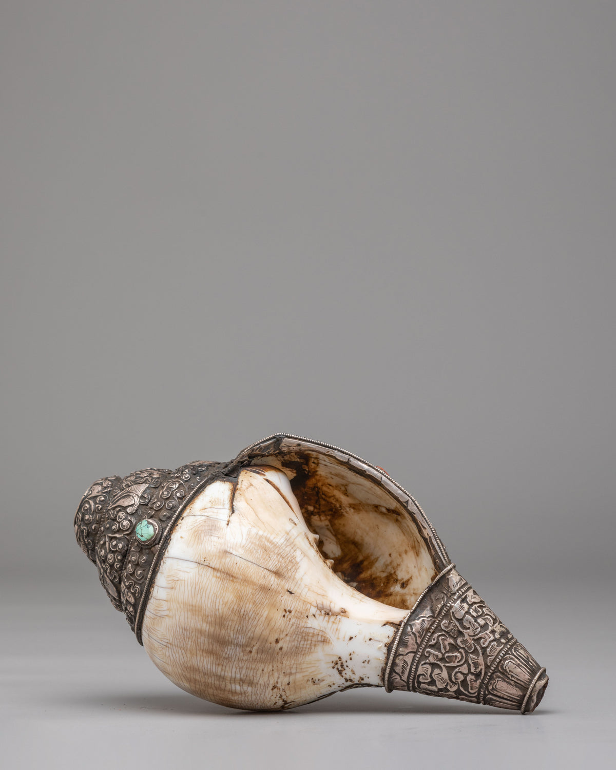 Traditional Buddhist Conch Shell | Silver Embellished Ritual Instrument