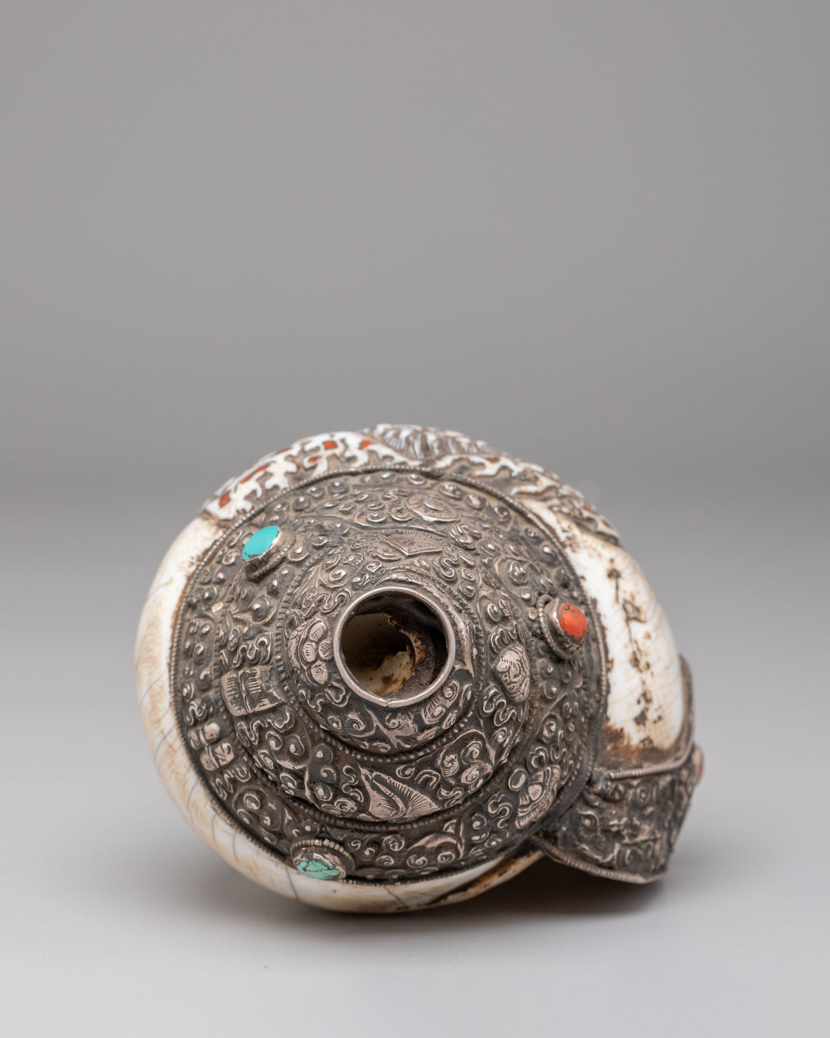 Traditional Buddhist Conch Shell | Silver Embellished Ritual Instrument