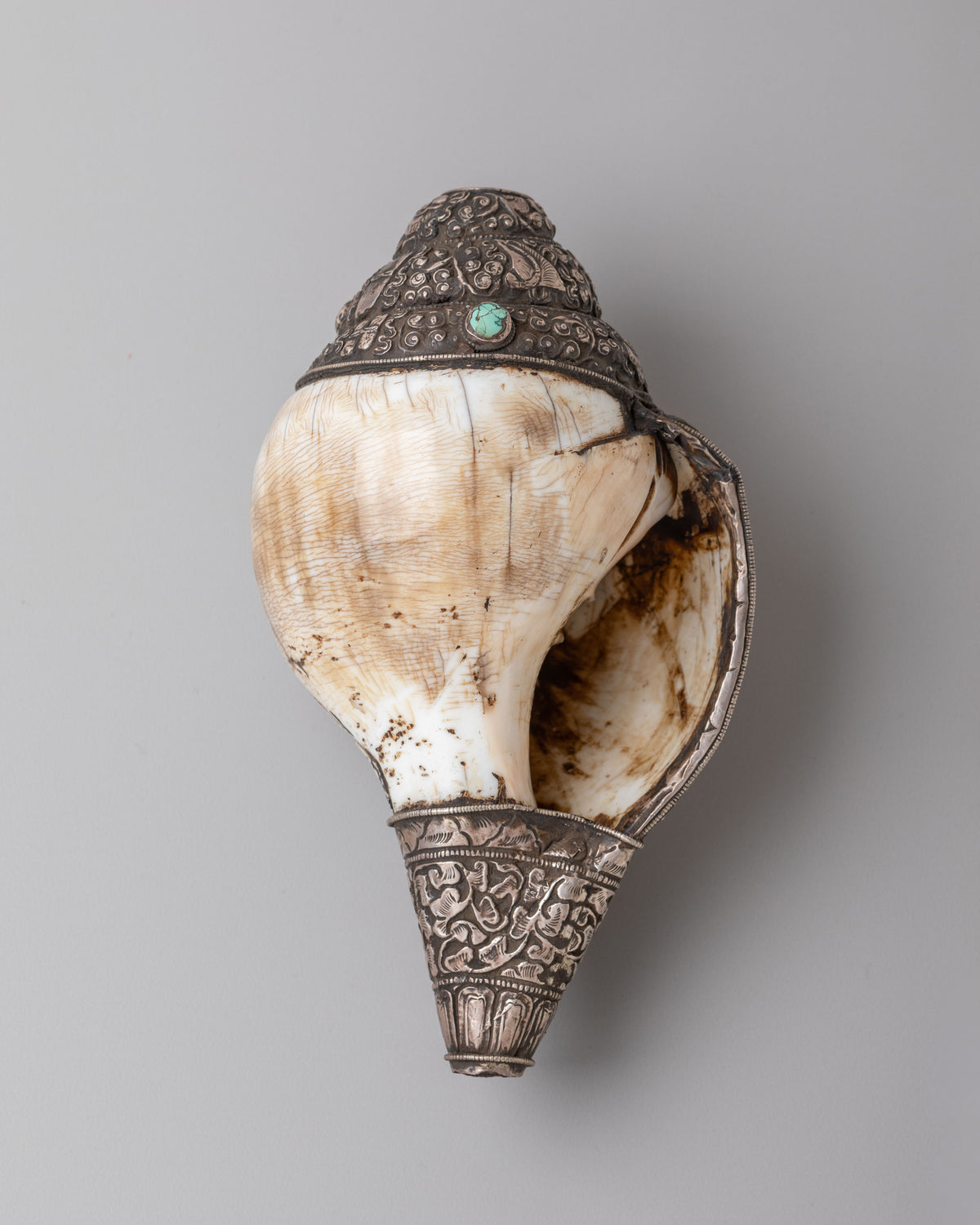 Traditional Buddhist Conch Shell | Silver Embellished Ritual Instrument