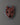 Tibetan Demon Wall Mask