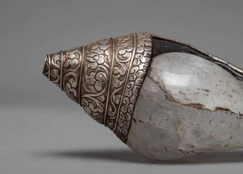 Crystal Conch Shell | Himalayan Treasure