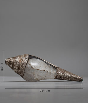Crystal Conch Shell | Himalayan Treasure