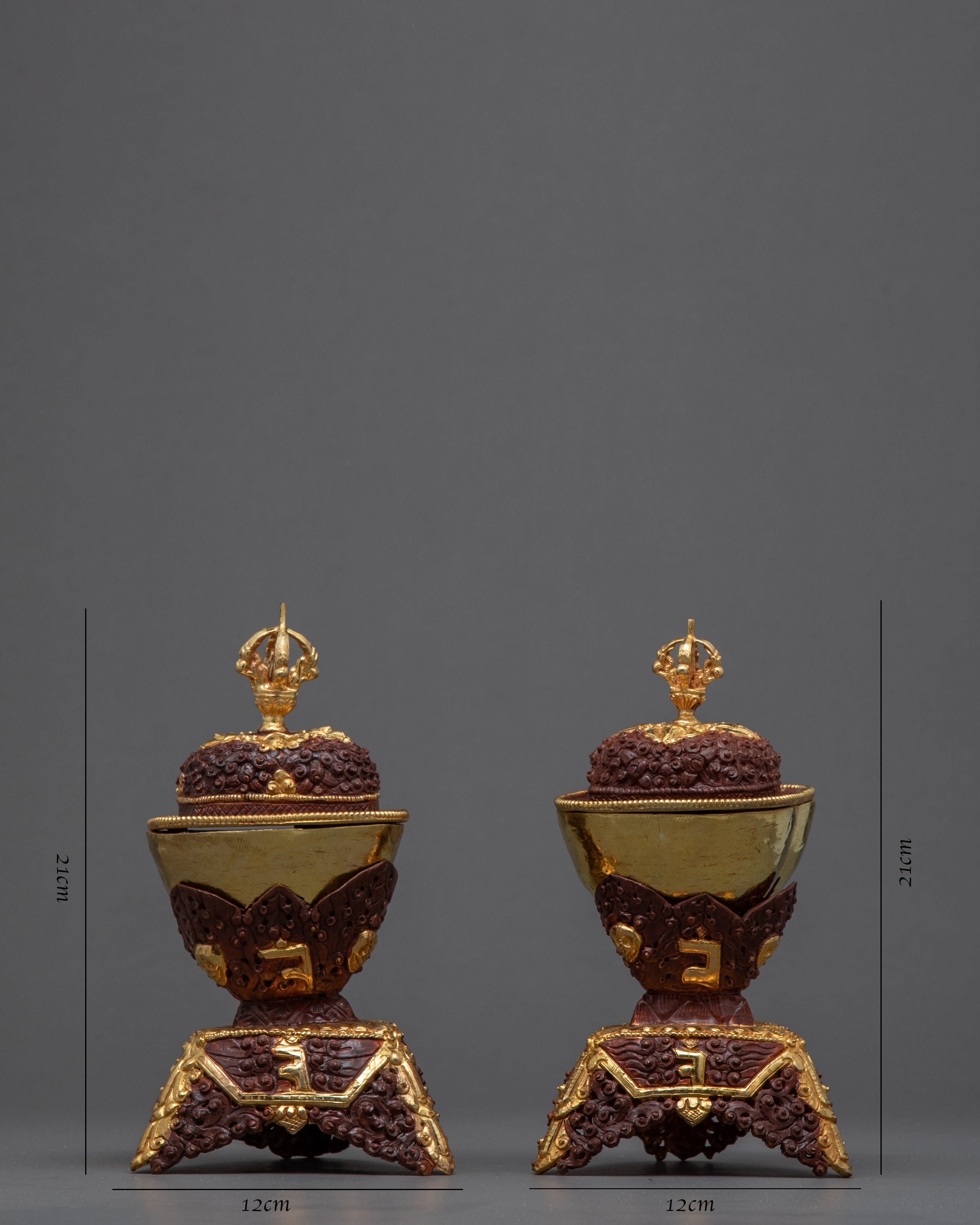 Gold Plated Kapala Skull Cup Set | Tibetan Ritual Offering for Ancient Practices