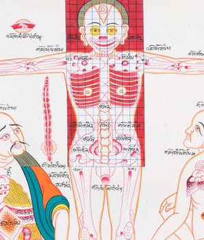 Medical Art Paintings | Wall Hanging Ideas