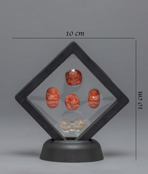 Statue and Vajra Floating Frames | Himalayan Art