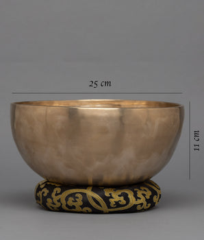 Plane Singing Bowls Meditation Practice by the Sound Produced | D3 Frequency