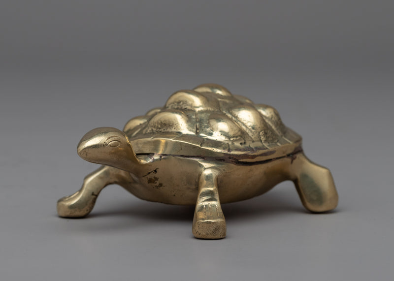 The Brass Turtle | Himlayan Art