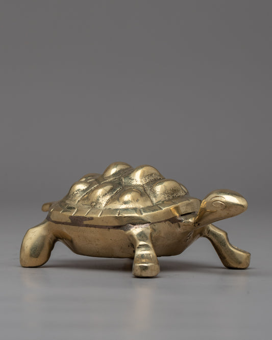 The Brass Turtle 