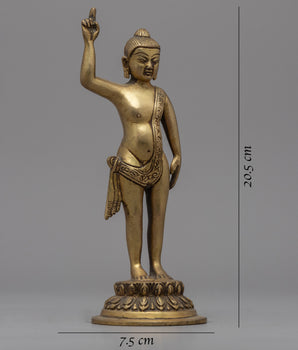Gandhara Standing Buddha Statue | Brass Body Sculpture