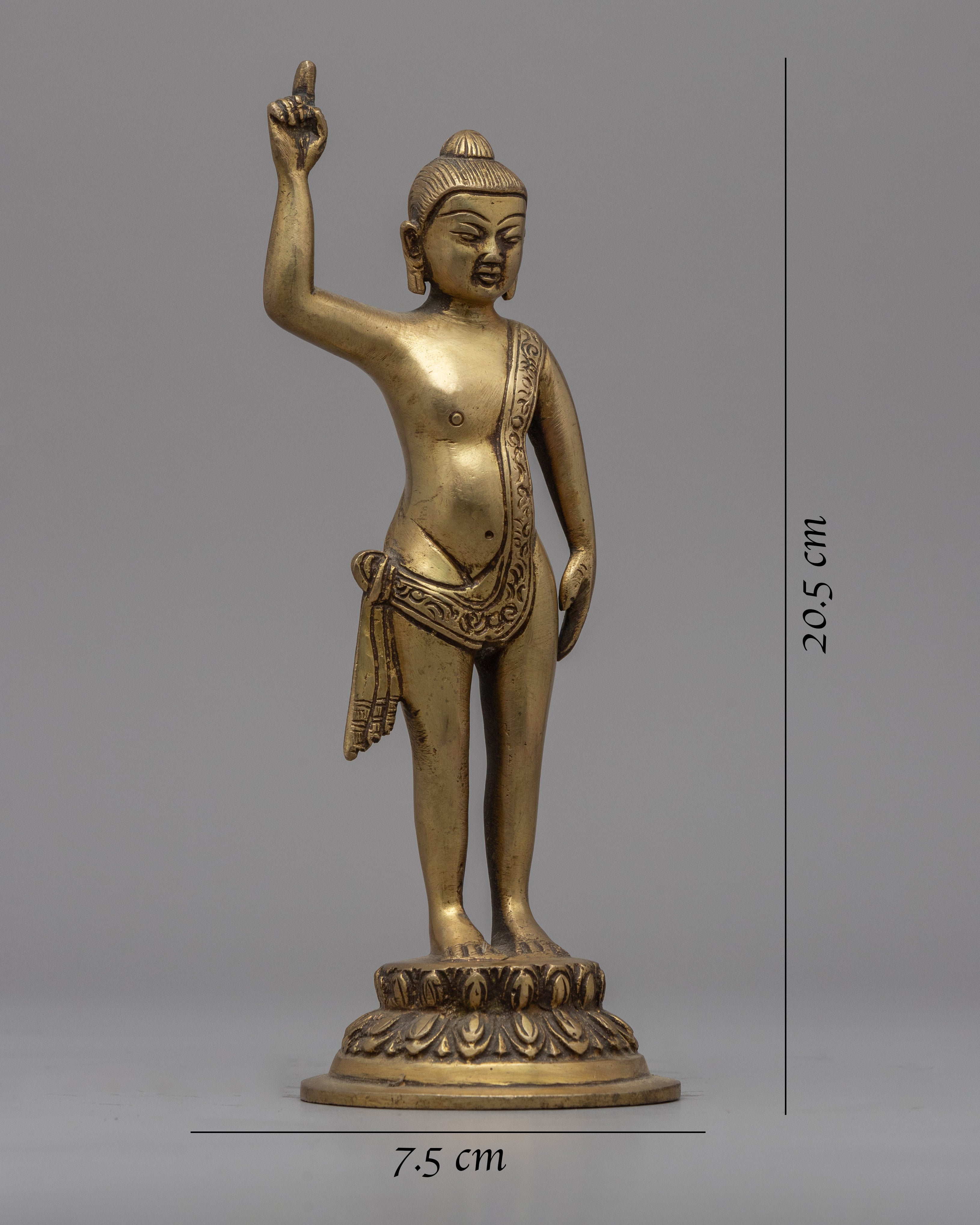Gandhara Standing Buddha Statue | Brass Body Sculpture
