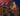 Shakyamuni Buddha Thangka | Buddhist Religious Painting