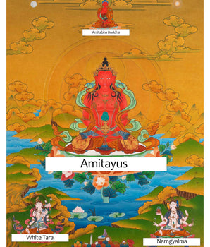 Amitayus Buddha Thangka | Buddhist Deity Amitayus With White Tara, Amitabha & Namgyalma