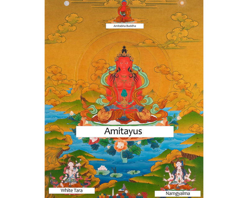 Amitayus Buddha Thangka | Buddhist Deity Amitayus With White Tara, Amitabha & Namgyalma