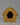 Collecable Treasure Box