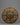 Vishwa Vajra Mandala 