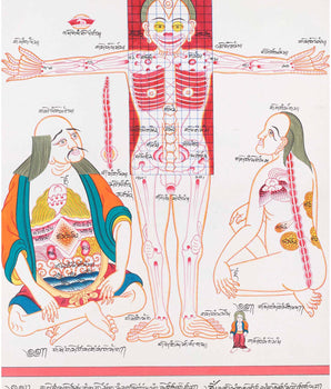 Medical Art Paintings