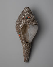 Right Handed Conch 