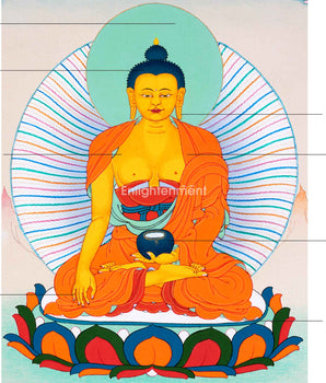 The Path to Liberation: Shakyamuni Buddha Thangka | Handpainted Sacred Tibetan Art