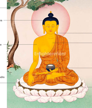 Hand Painted Shakyamuni Buddha Thangka | The Canvas Of Enlightenment | Meditative Masterpiece