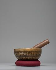 Tibetan Singing Bowl | Sound Therapy