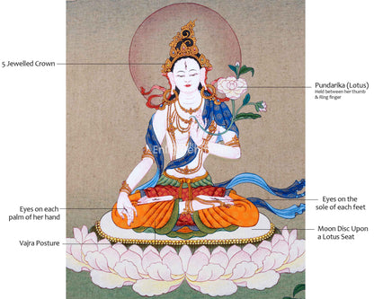 Buddhist White Tara Thangka | Handpainted Traditional Artwork | Vajrayana Painting