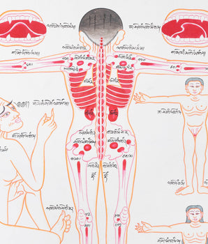 Backside of a Human Body | Himalayan Ancient Medical Technique