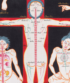 Ancient Depiction of Physical Form Used in Tibet | Three anatomical figures