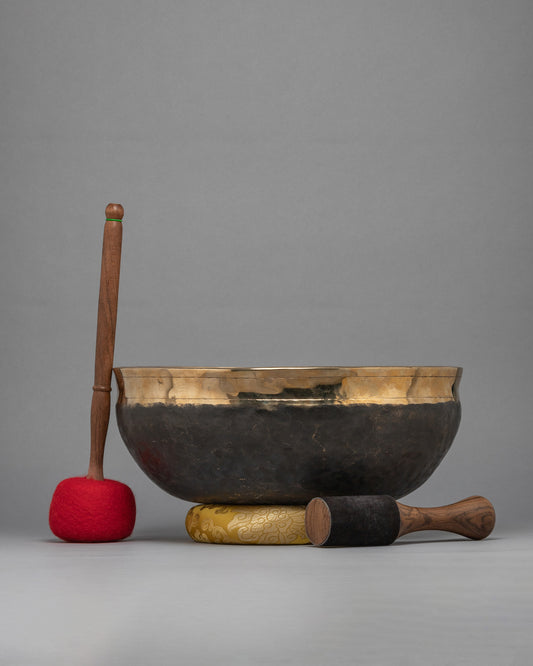 Ulta Bati Singing Bowl 